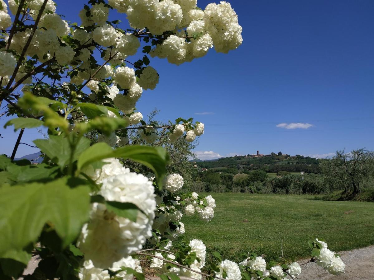 B&B La Casetta Montecarlo Luaran gambar
